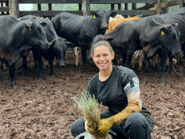 Concurso Frase e Fotos Atua&ccedil;&atilde;o Multissetorial das Mulheres M&eacute;dicas Veterin&aacute;rias do Paran&aacute;