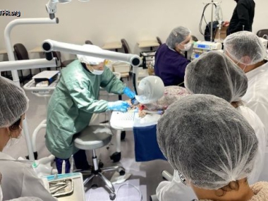 Curso In&eacute;dito no Sul do Pa&iacute;s: Capacita&ccedil;&atilde;o em Odontologia Veterin&aacute;ria