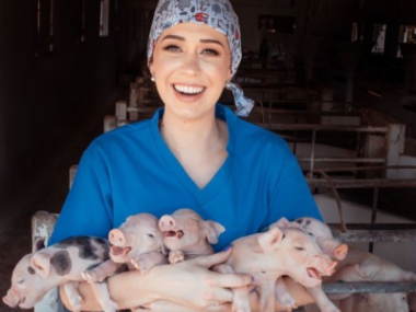 Concurso de fotografia - Medicina Veterin&aacute;ria: Mais que uma Profiss&atilde;o, uma paix&atilde;o.  