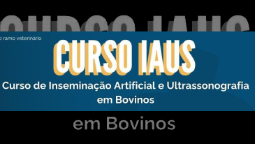 Curso de Insemina&ccedil;&atilde;o Artificial e Ultrassonografia em Bovinos | Not&iacute;cias